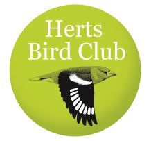 Herts Bird Club logo